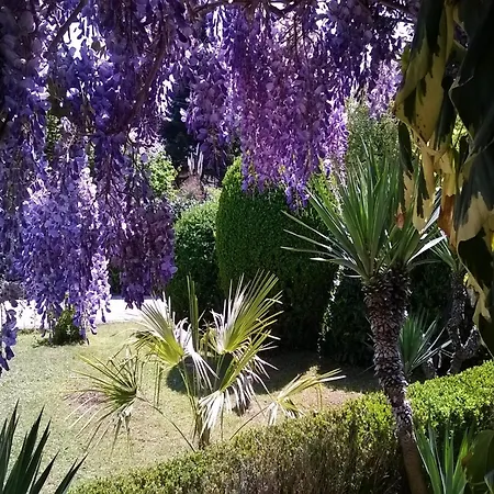In With Scenic Roof Terrace Apartament